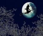 Cadı onu sihirli süpürge de Halloween gecesi uçan